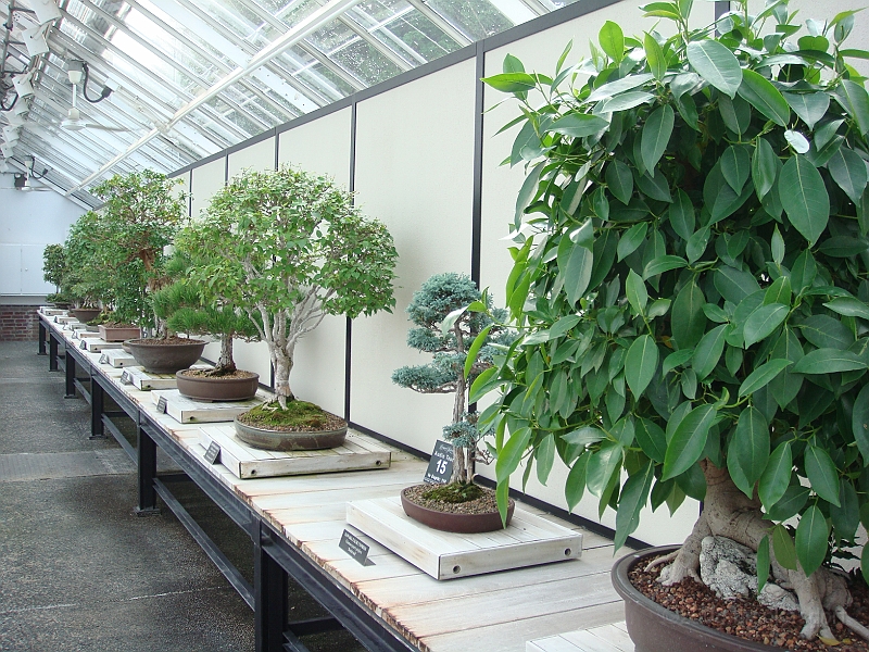 329 Longwood Gardens [2008 August 23].JPG - Longwood Gardens in Pennsylvania